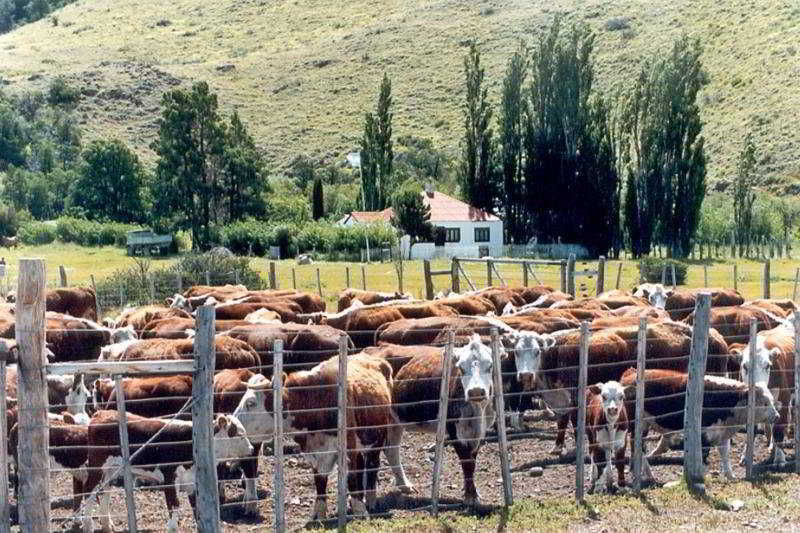 Estancia La Quinta Hotel El Chalten Buitenkant foto